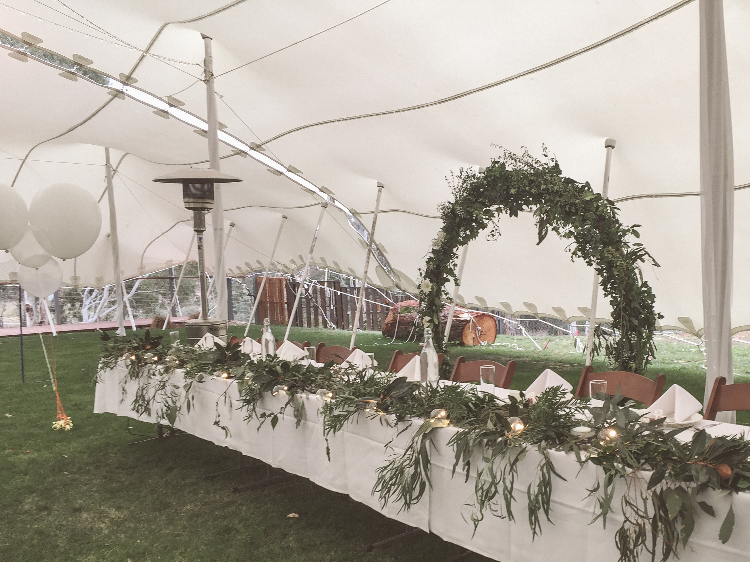 Goolabri - Offline-1815136